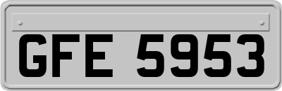 GFE5953