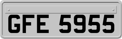 GFE5955