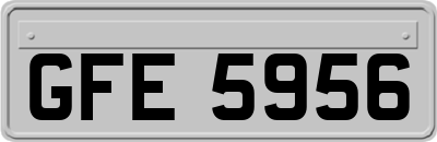 GFE5956