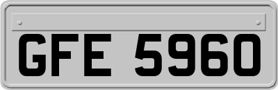 GFE5960