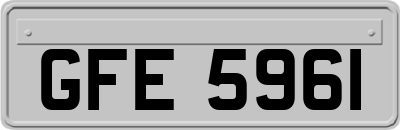 GFE5961
