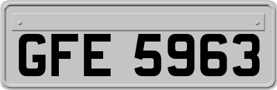 GFE5963