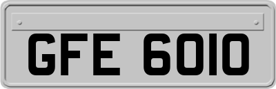 GFE6010
