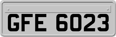 GFE6023