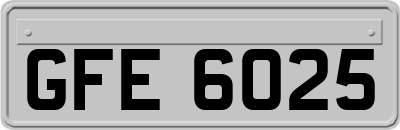 GFE6025