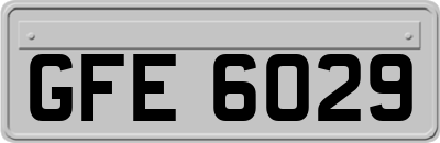 GFE6029