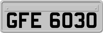 GFE6030