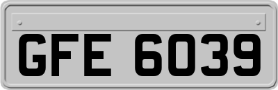 GFE6039