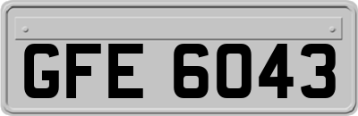 GFE6043