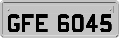 GFE6045