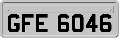 GFE6046