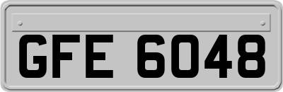 GFE6048