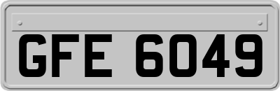 GFE6049