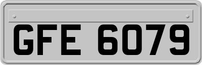 GFE6079