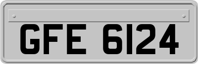 GFE6124