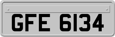 GFE6134