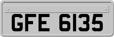 GFE6135