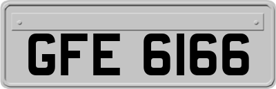 GFE6166