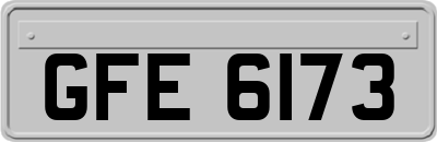 GFE6173