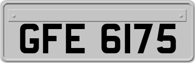 GFE6175