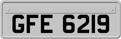 GFE6219