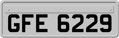GFE6229