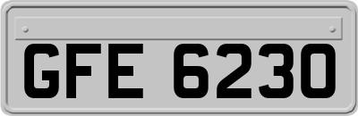 GFE6230