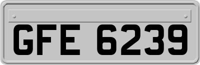 GFE6239