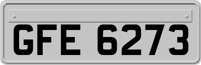 GFE6273