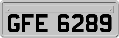 GFE6289
