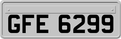 GFE6299