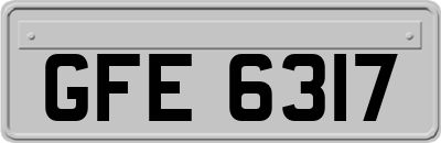 GFE6317