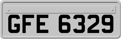 GFE6329