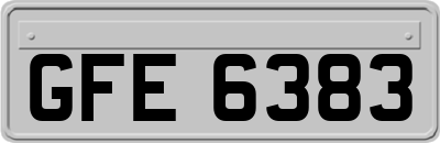 GFE6383
