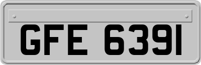 GFE6391