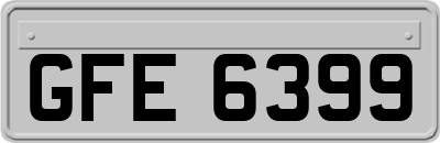 GFE6399