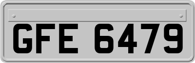 GFE6479