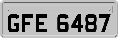 GFE6487