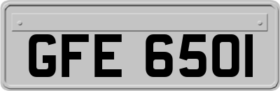 GFE6501