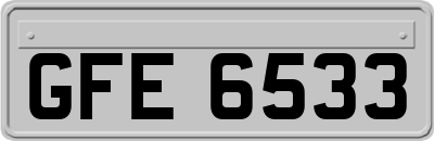 GFE6533