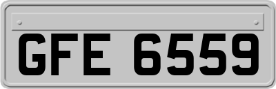 GFE6559