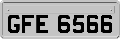 GFE6566