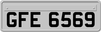 GFE6569