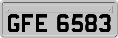 GFE6583
