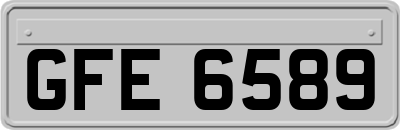 GFE6589