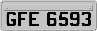 GFE6593