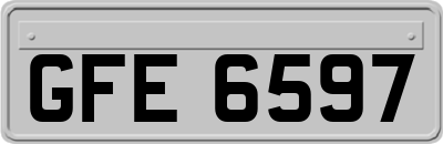 GFE6597