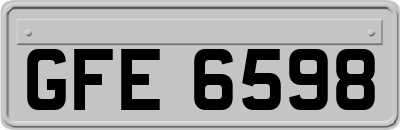 GFE6598