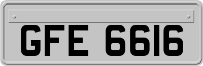 GFE6616