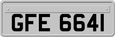 GFE6641